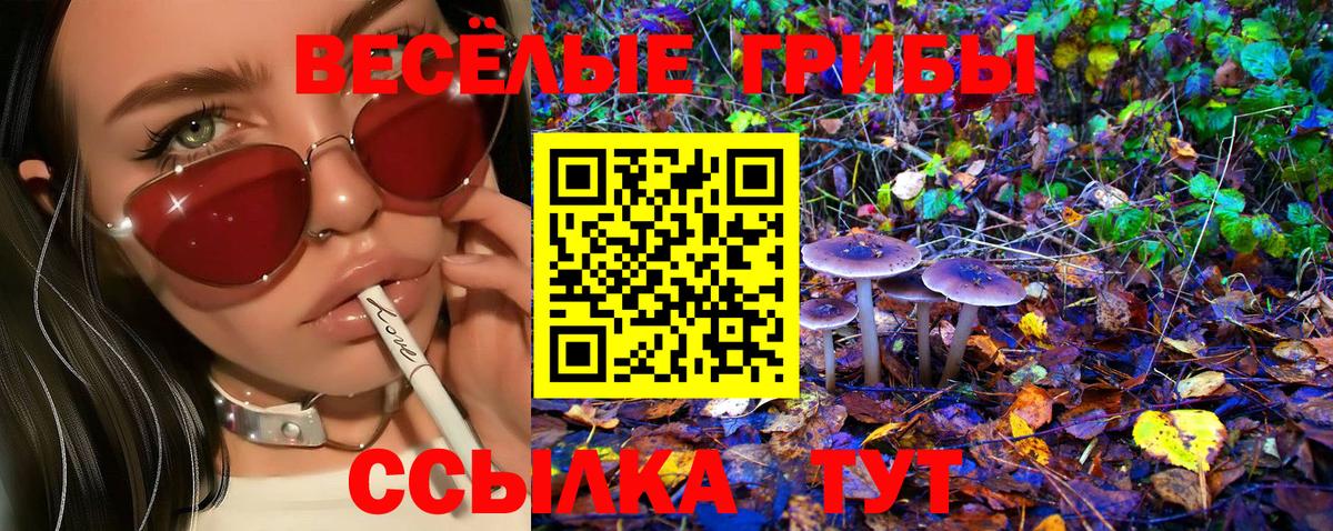 Галлюциногенные грибы Magic Shrooms  Вход с VPN  Димитровград 