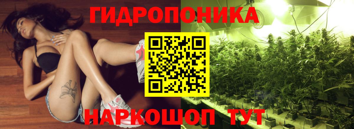 Шишки марихуана конопля Димитровград